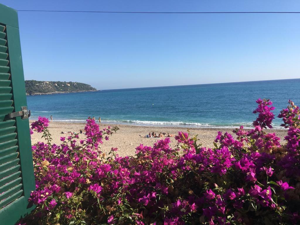 Cap D.azur