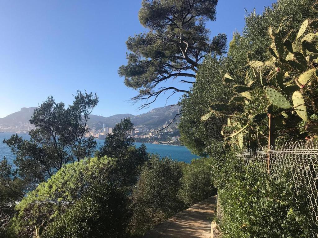 Cap D.azur Roquebrune-Cap-Martin